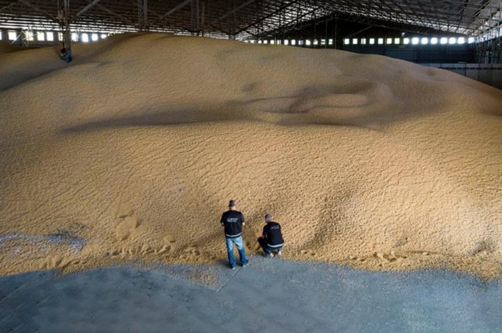 Múltiples allanamientos a cerealeras truchas en todo el país
