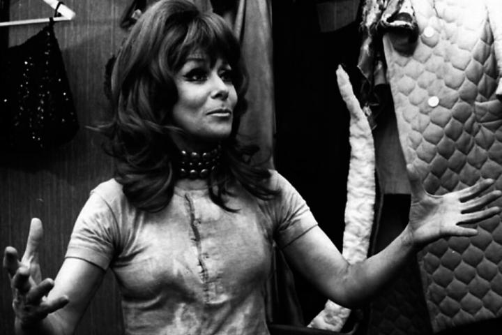 Falleció la actriz Diana Maggi