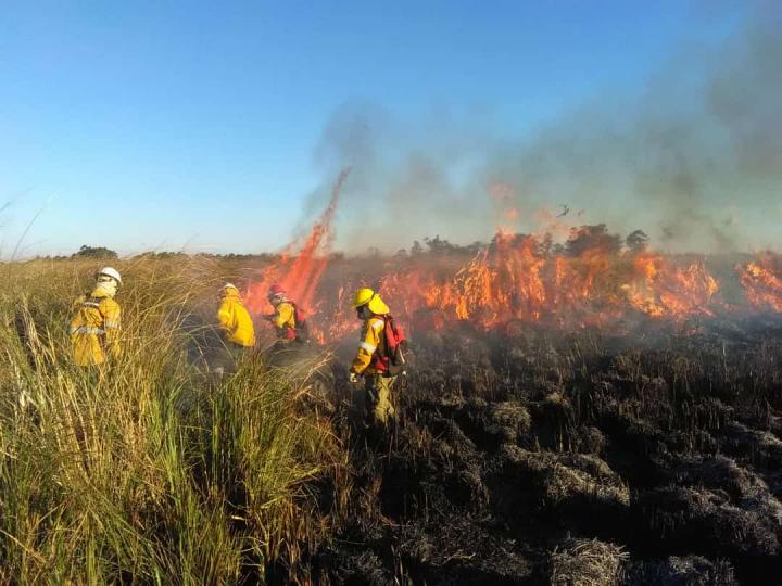 Denuncia penal por incendios en el norte de Santa Fe