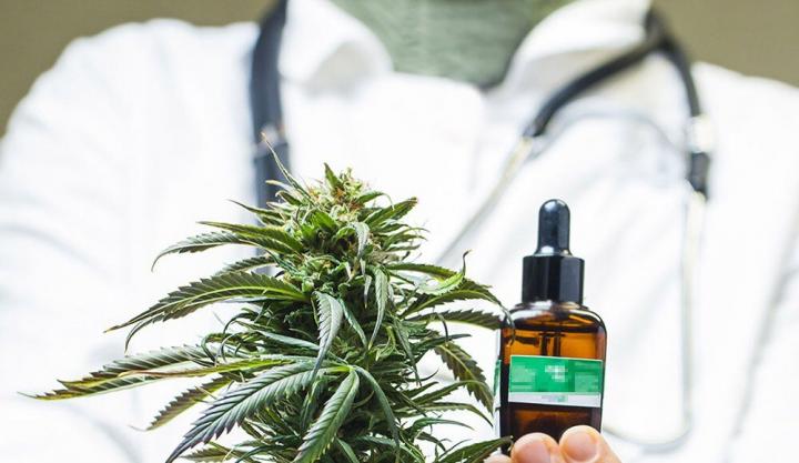 Cannabis medicinal: Santa Fe estudia su uso contra el cáncer