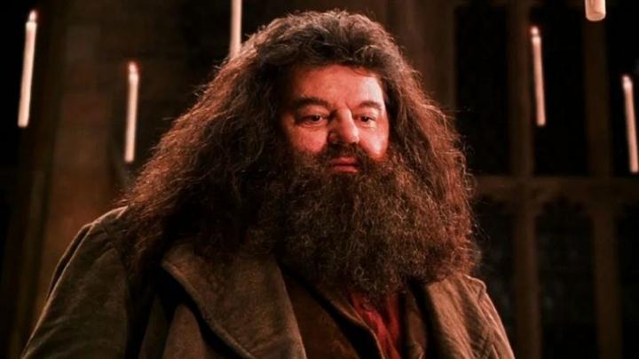 Murió Robbie Coltrane, el actor que hizo de Hagrid en Harry Potter