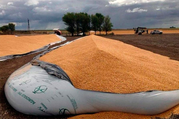 Golpe al contrabando de granos
