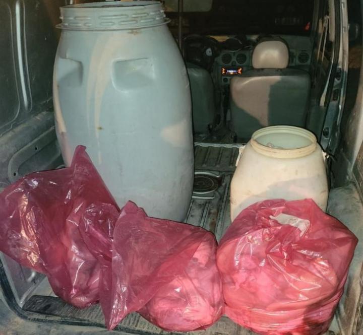 Decomisan 16 toneladas de achuras en la ciudad de Santa Fe