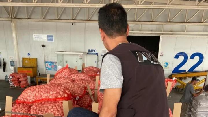 Exportaron ajo por $137 millones pero no tenían empleados