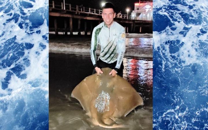 Mar del Plata: pescaron un chucho de casi 60 kilos