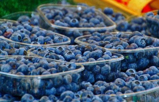 Procesan a empresarios por esclavizar a 190 trabajadores rurales