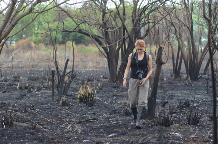 Más de medio millón de hectáreas fueron quemadas en todo el país