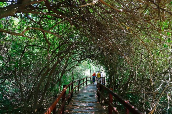 Destinan $ 520 millones para fortalecer el turismo en Santa Fe