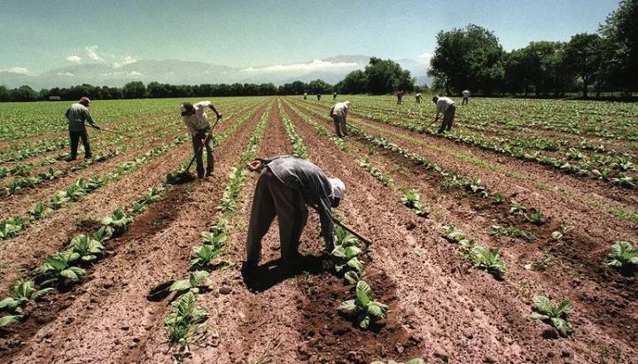 Trabajadores rurales, con 104% de aumento salarial