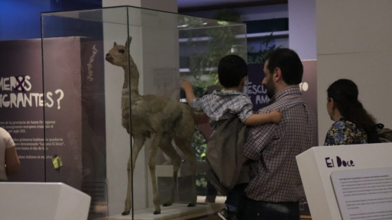 Vacaciones de invierno en los espacios culturales de la Provincia