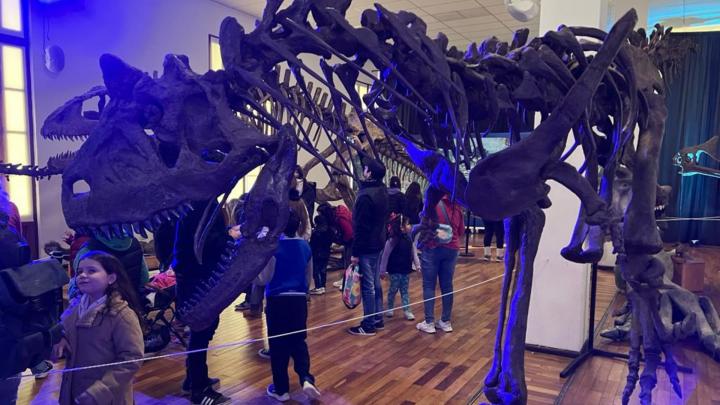 Territorio de Gigantes, una muestra que te sumerge en la prehistoria