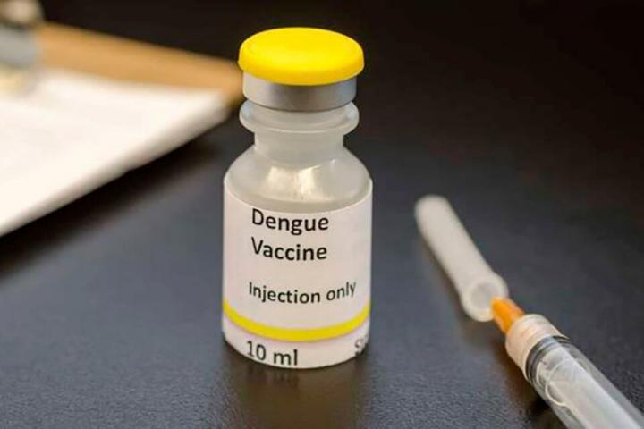 La vacuna contra el dengue estará disponible en noviembre