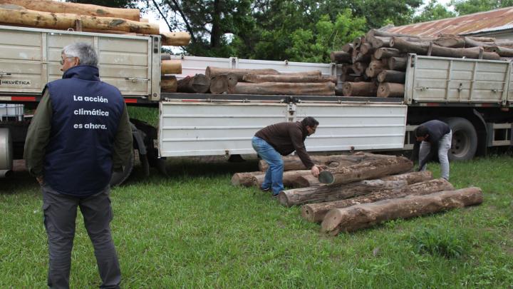Incautan un cargamento de palo santo en una ruta de Santa Fe