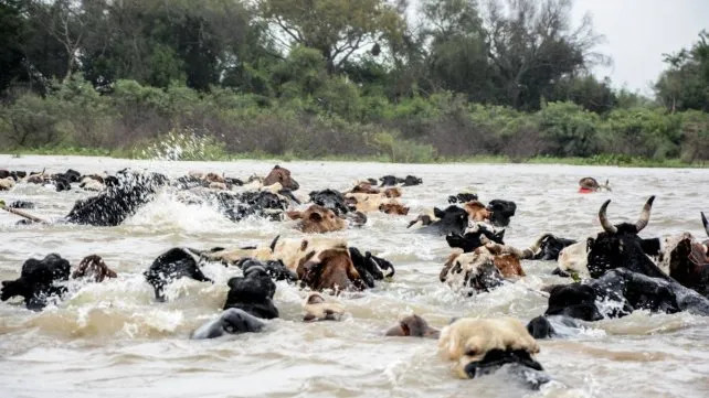 San Javier en alerta por la crecida del río Paraná