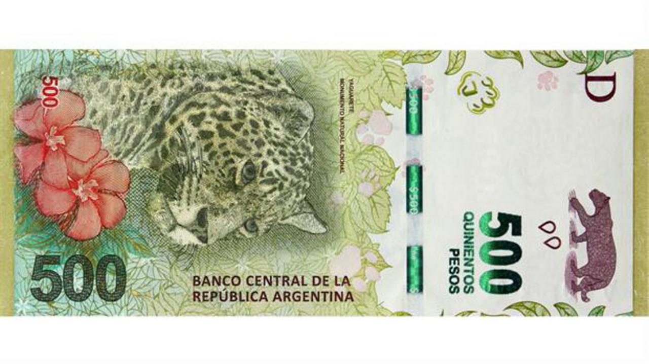 El yaguareté circula por el país