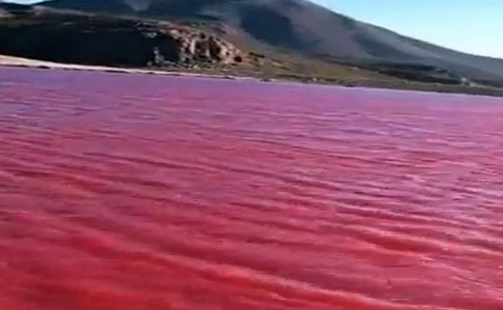 De no creer: el río Nilo se tiñó de color vino
