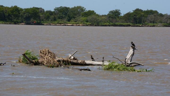 Santa Fe tiene su inventario de humedales