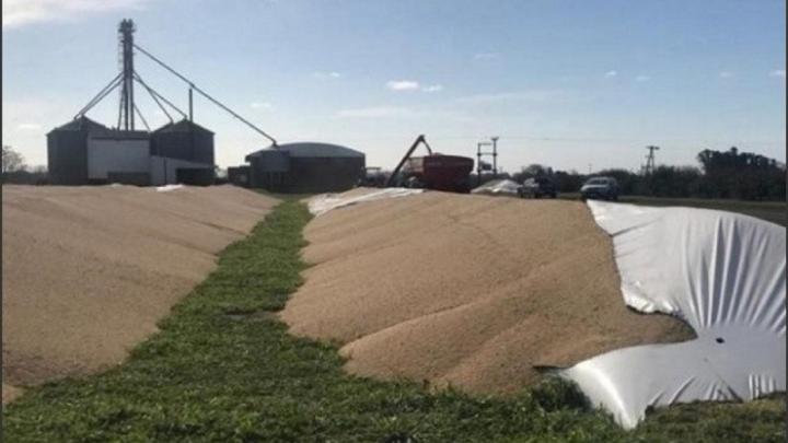 Volvió de viaje con fiebre hemorrágica y falleció en Rosario