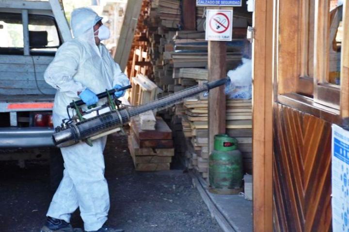 Dengue: confirman 12 casos sin antecedente de viaje