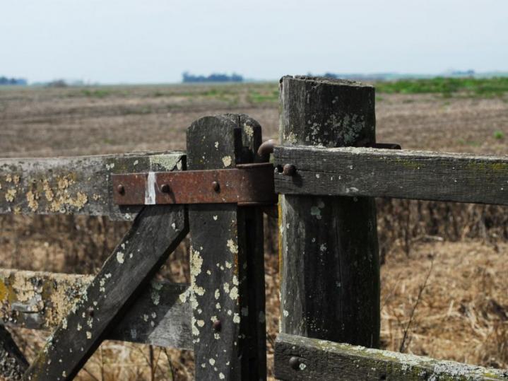 Impuesto Inmobiliario Rural: ya se pueden pedir descuentos