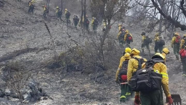 Incendios en Los Alerces: el fuego ya arrasó 3.000 hectáreas