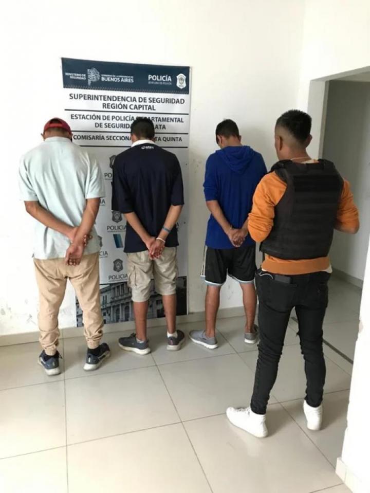 Los detienen por robar paltas de un árbol