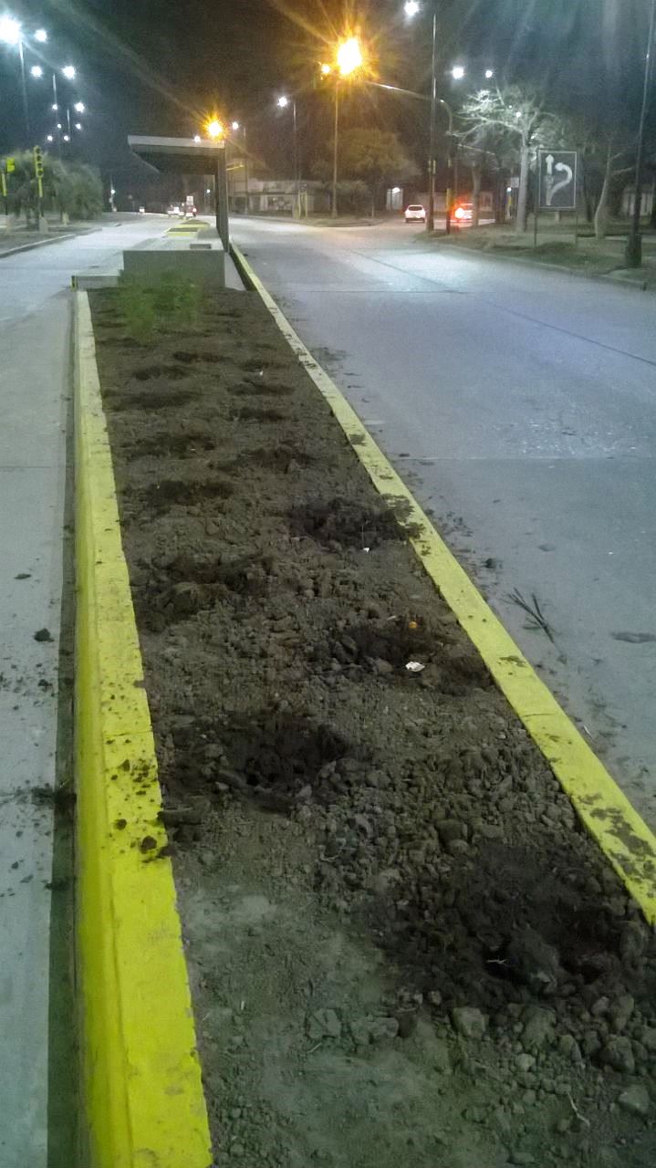 Pondrán cámaras de seguridad en paradas del Metrofé