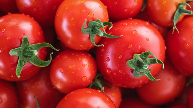 Tomates: un lujo que pocos pueden pagar en Santa Fe