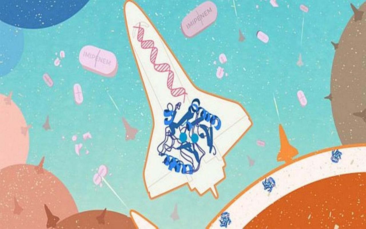 Científicos argentinos muestran por qué las superbacterias resisten