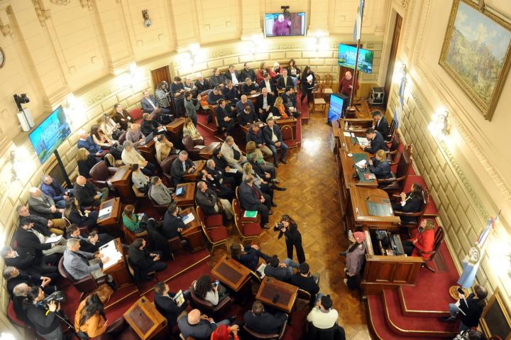La audiencia pública realizada en la Cámara de Senadores.