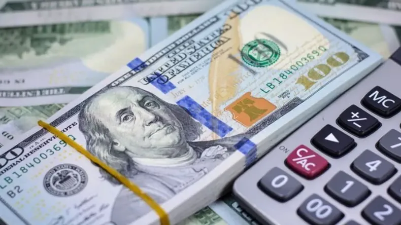 Quienes tengan subsidios podrán comprar dólares