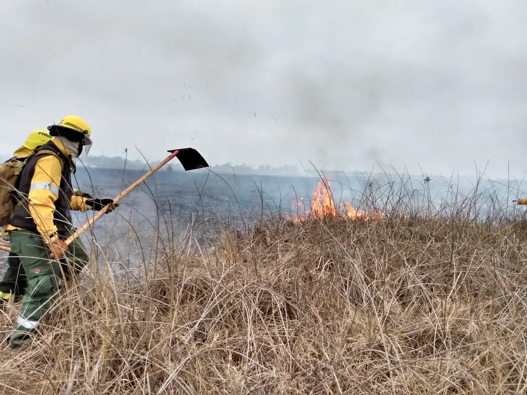 Quema de pastizales: destacan el accionar de los bomberos
