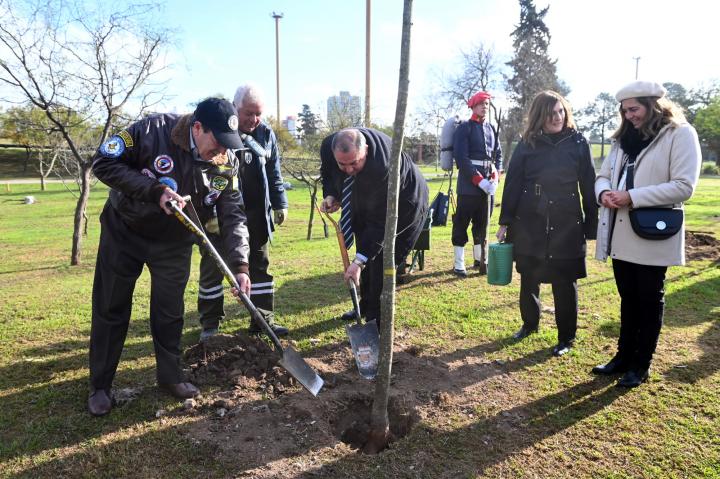 Semana de la Forestación: plantan 510 árboles en los barrios