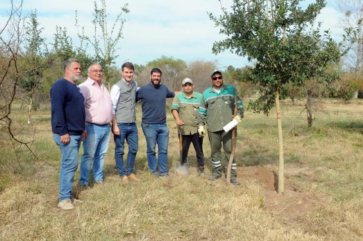 Erradicaron un basural y plantaron 120 árboles