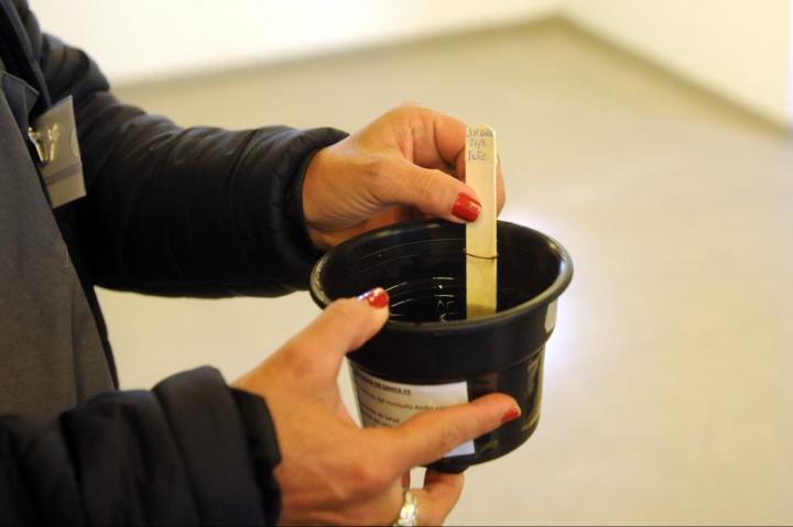 Eficacia de las ovitrampas para la detección rápida del Aedes Aegypti 