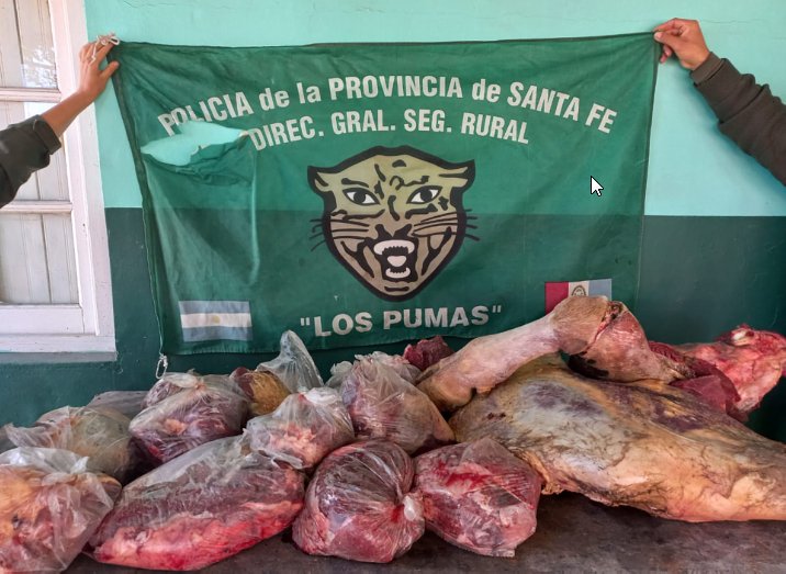 Abigeato en Santa Fe: 5 detenidos e incautan 300 kg de carne