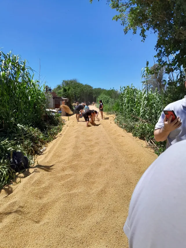 Emboscan un tren y lo saquean: se llevan 1000 toneladas de soja