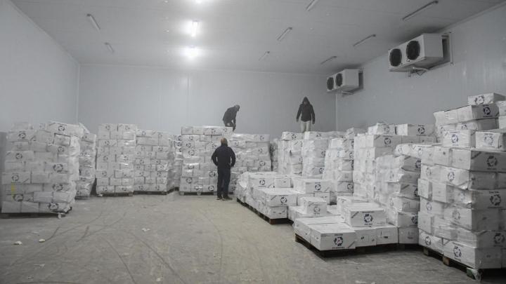 Decomisan más de 5.000 toneladas de pescado