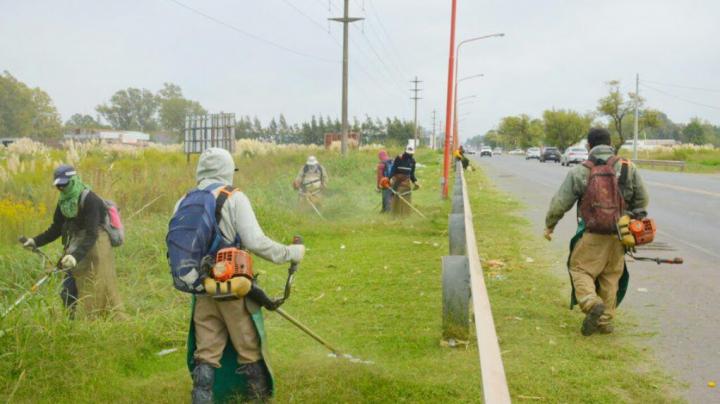 Santa Fe desmalezará las calzadas de todas las rutas provinciales