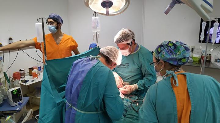 Santa Fe, tercera provincia con más donantes de órganos