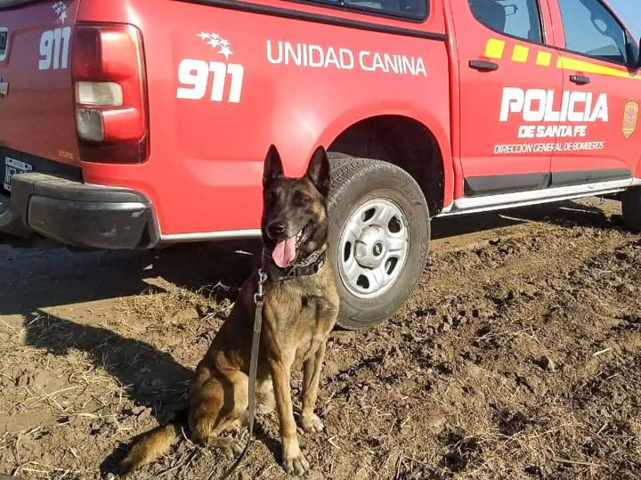 El adiós a Baloo, el perro rescatista héroe de los santafesinos