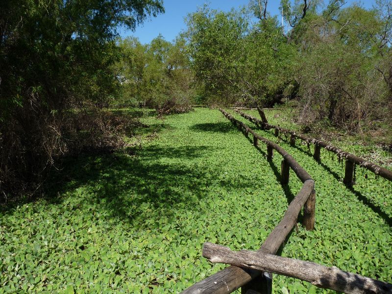 Reabre sus puertas la Reserva Ecológica UNL