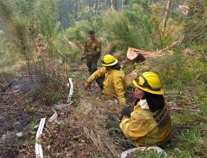Incendios: denodado trabajo de los brigadistas santafesinos