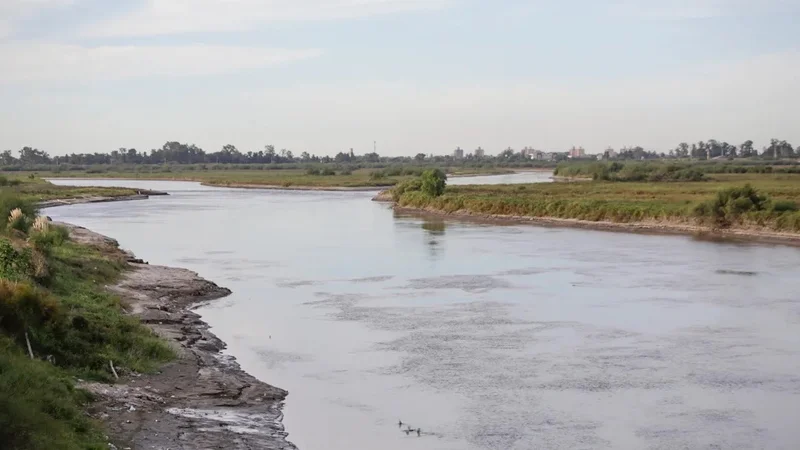Contaminación del río Salado: detectan antibióticos y pesticidas