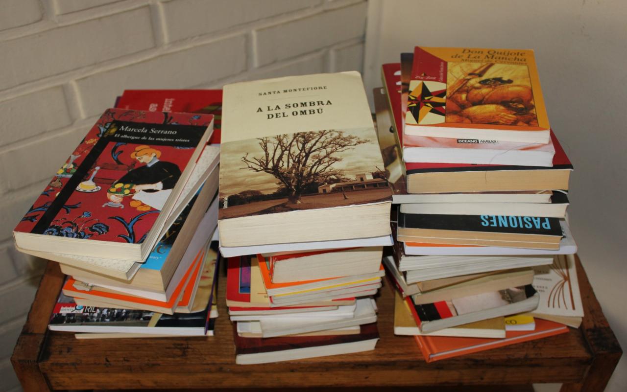 UNL: campaña de donación de libros y juegos 