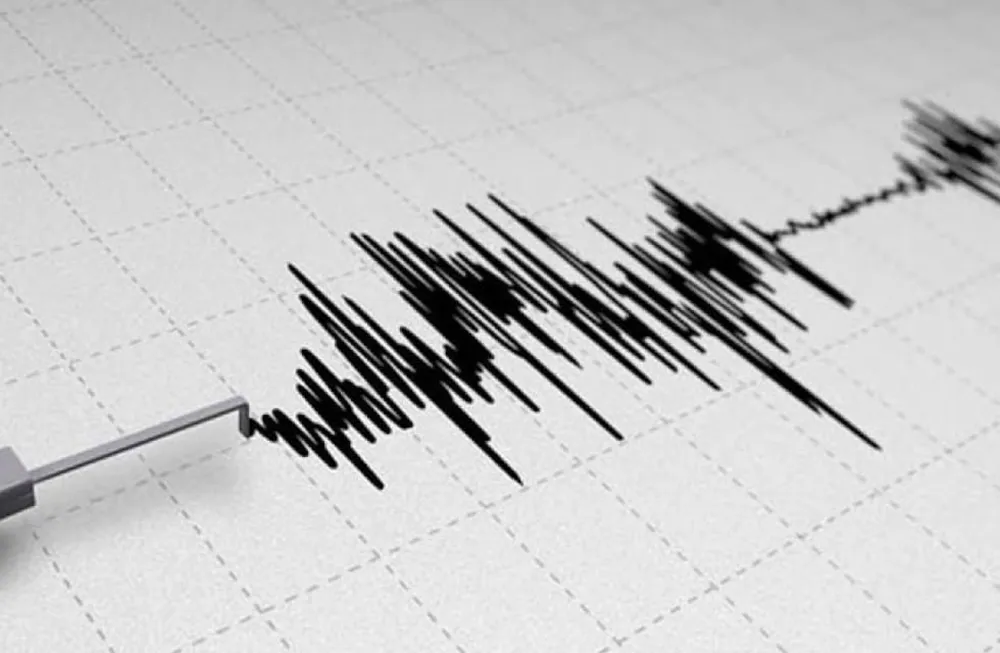 Un sismo de magnitud 5 sacudió Mendoza