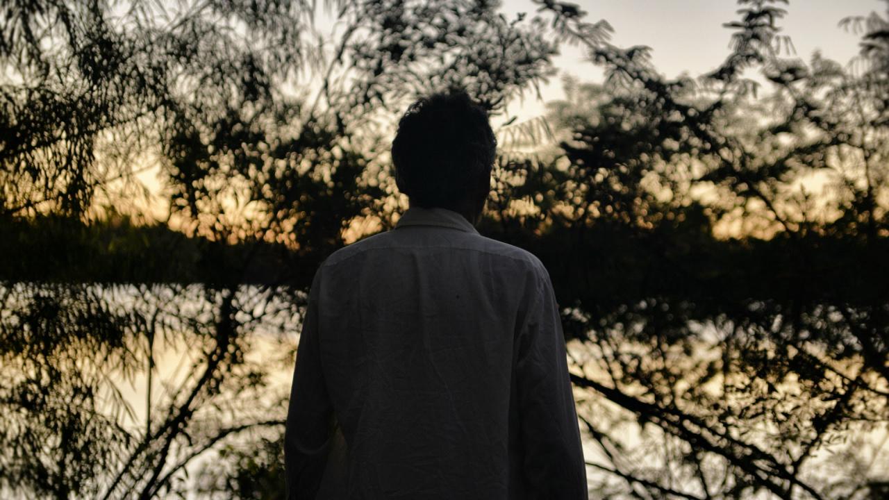 Estreno nacional de “El Limonero Real”