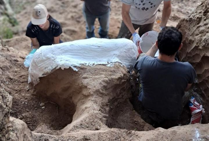 Hallan restos de un cráneo de mastodonte en el arroyo Pavón