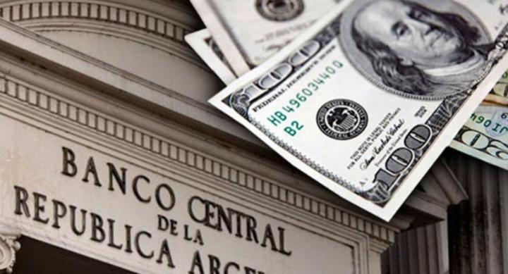 Hacia el bimonetarismo: el Banco Central impulsará los pagos en dólares