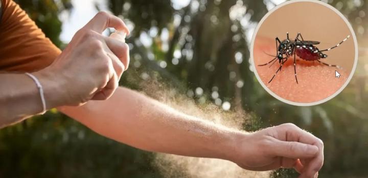 Dengue: Santa Fe registra un 85 % menos de casos